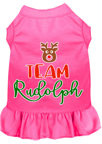 Team Rudolph Screen Print Dog Dress Bright Pink 4x