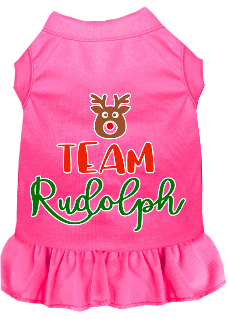 Team Rudolph Screen Print Dog Dress Bright Pink Sm