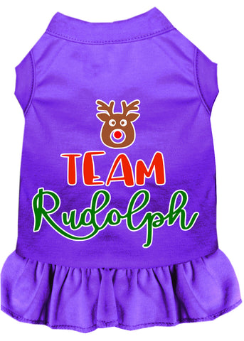 Team Rudolph Screen Print Dog Dress Purple 4x