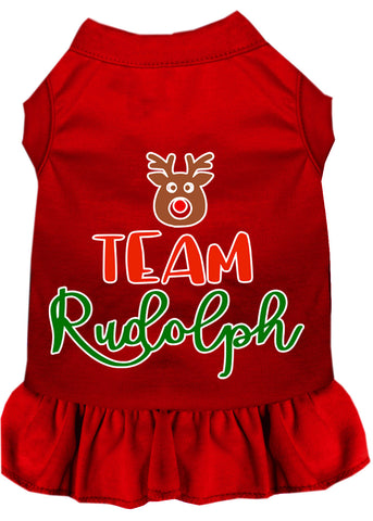 Team Rudolph Screen Print Dog Dress Red 4x