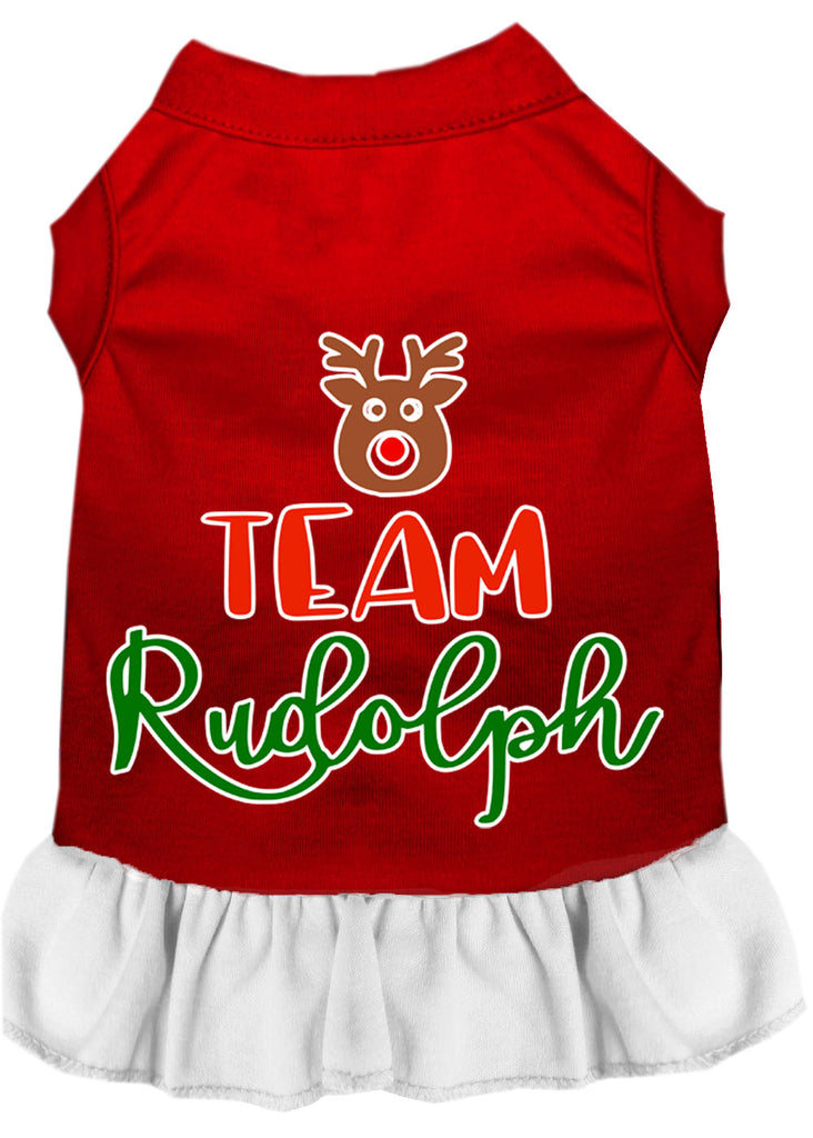 Team Rudolph Screen Print Dog Dress Red With White Med