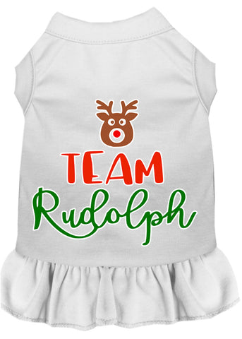 Team Rudolph Screen Print Dog Dress White 4x