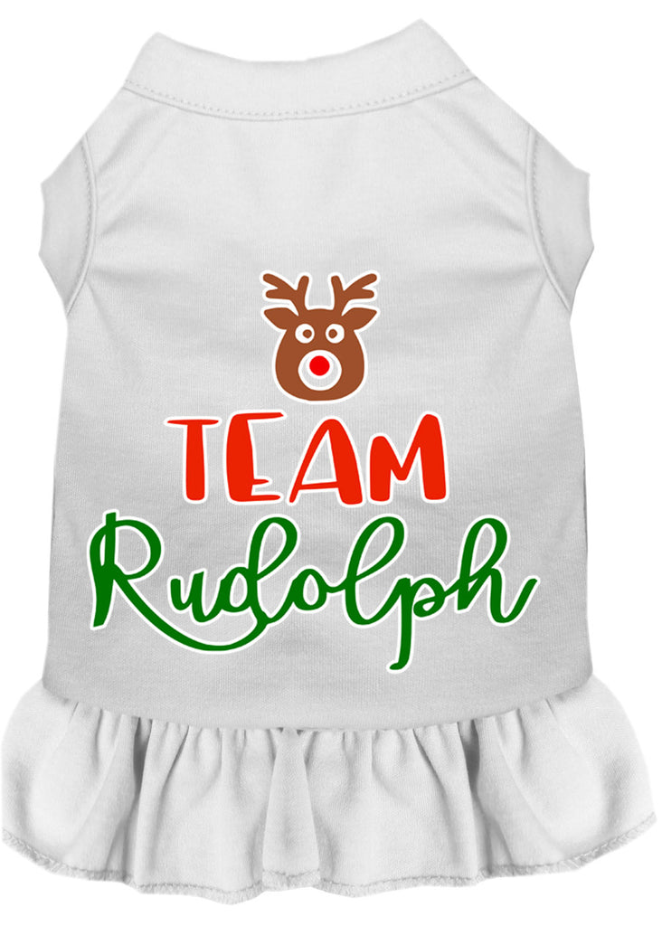 Team Rudolph Screen Print Dog Dress White Xxl