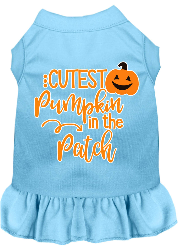 Cutest Pumpkin In The Patch Screen Print Dog Dress Baby Blue Lg