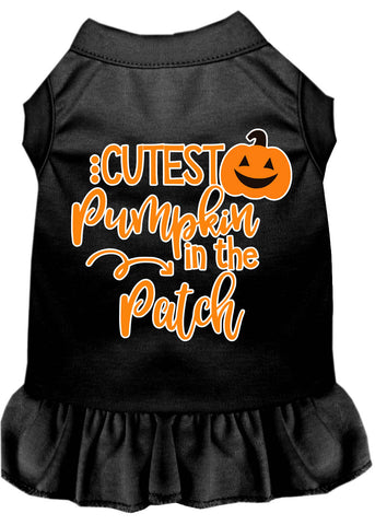 Cutest Pumpkin In The Patch Screen Print Dog Dress Black 4x