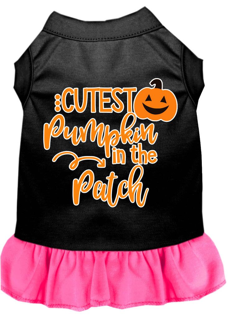 Cutest Pumpkin In The Patch Screen Print Dog Dress Black With Bright Pink Lg