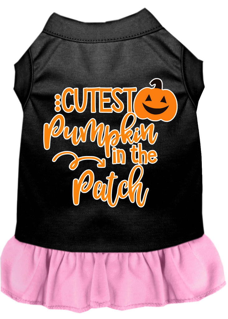 Cutest Pumpkin In The Patch Screen Print Dog Dress Black With Light Pink Sm