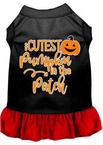 Cutest Pumpkin In The Patch Screen Print Dog Dress Black With Red Lg