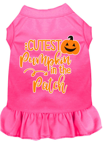 Cutest Pumpkin In The Patch Screen Print Dog Dress Bright Pink Med