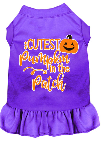 Cutest Pumpkin In The Patch Screen Print Dog Dress Purple 4x