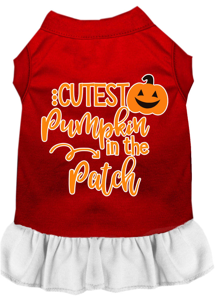 Cutest Pumpkin In The Patch Screen Print Dog Dress Red With White Lg