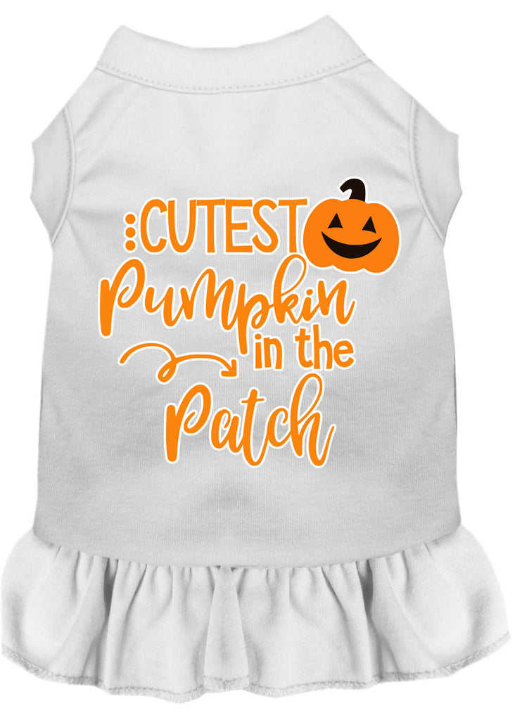 Cutest Pumpkin In The Patch Screen Print Dog Dress White 4x