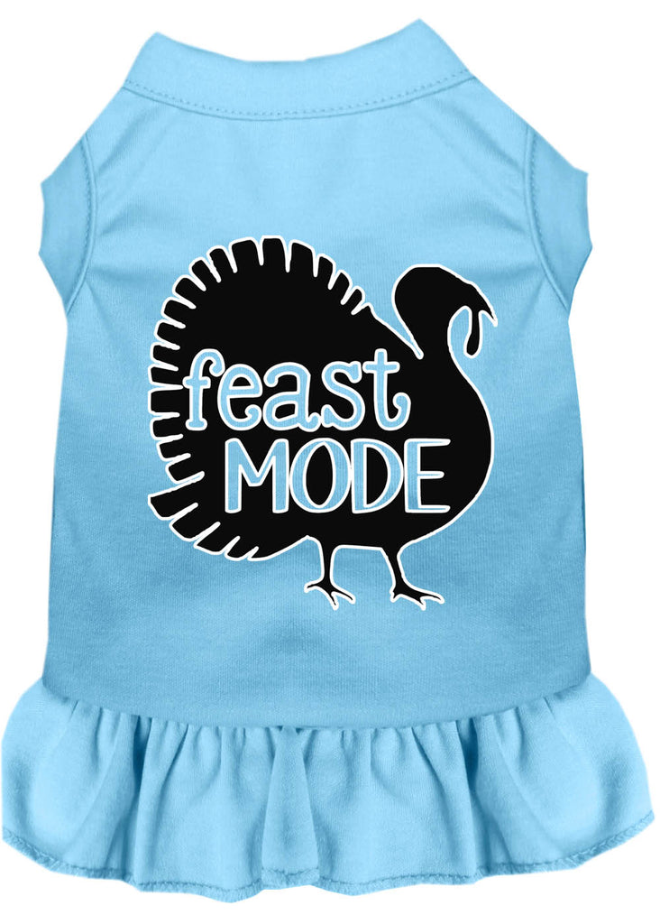 Feast Mode Screen Print Dog Dress Baby Blue 4x