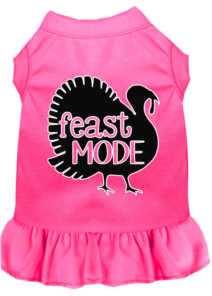 Feast Mode Screen Print Dog Dress Bright Pink 4x