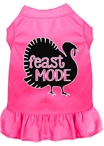 Feast Mode Screen Print Dog Dress Bright Pink Xs