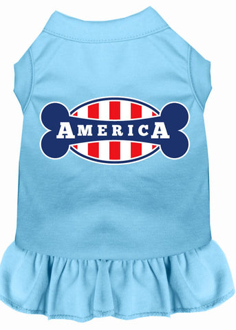 Bonely In America Screen Print Dress Baby Blue Xs (8)