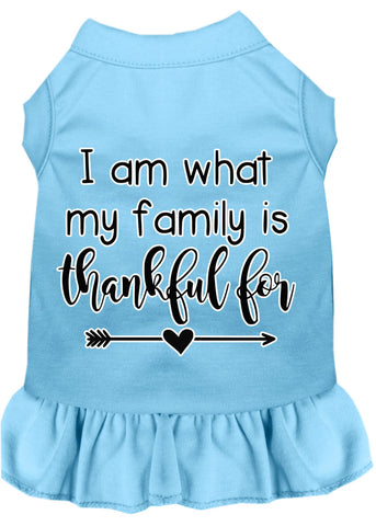 I Am What My Family Is Thankful For Screen Print Dog Dress Baby Blue 4x