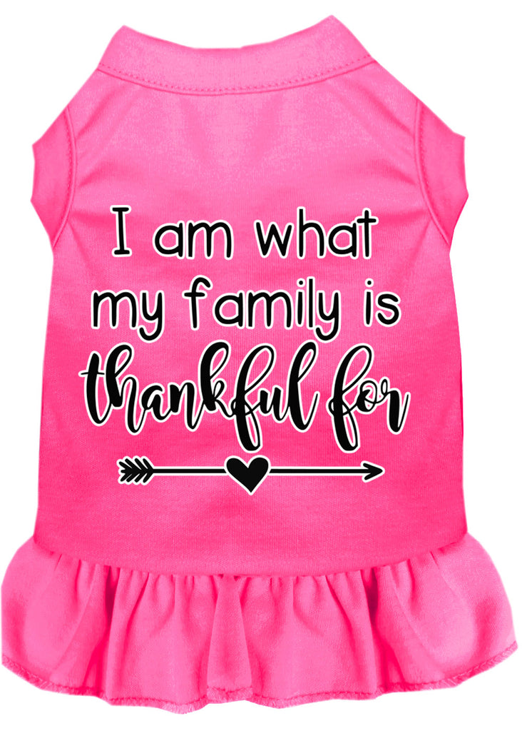 I Am What My Family Is Thankful For Screen Print Dog Dress Bright Pink 4x