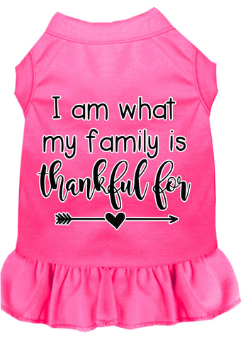 I Am What My Family Is Thankful For Screen Print Dog Dress Bright Pink Sm