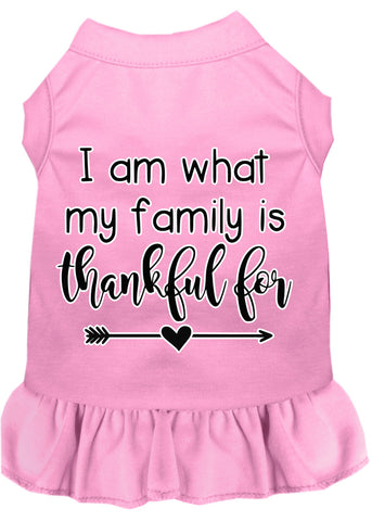 I Am What My Family Is Thankful For Screen Print Dog Dress Light Pink 4x