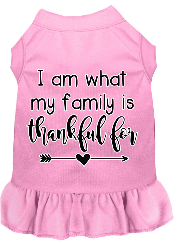 I Am What My Family Is Thankful For Screen Print Dog Dress Light Pink Sm