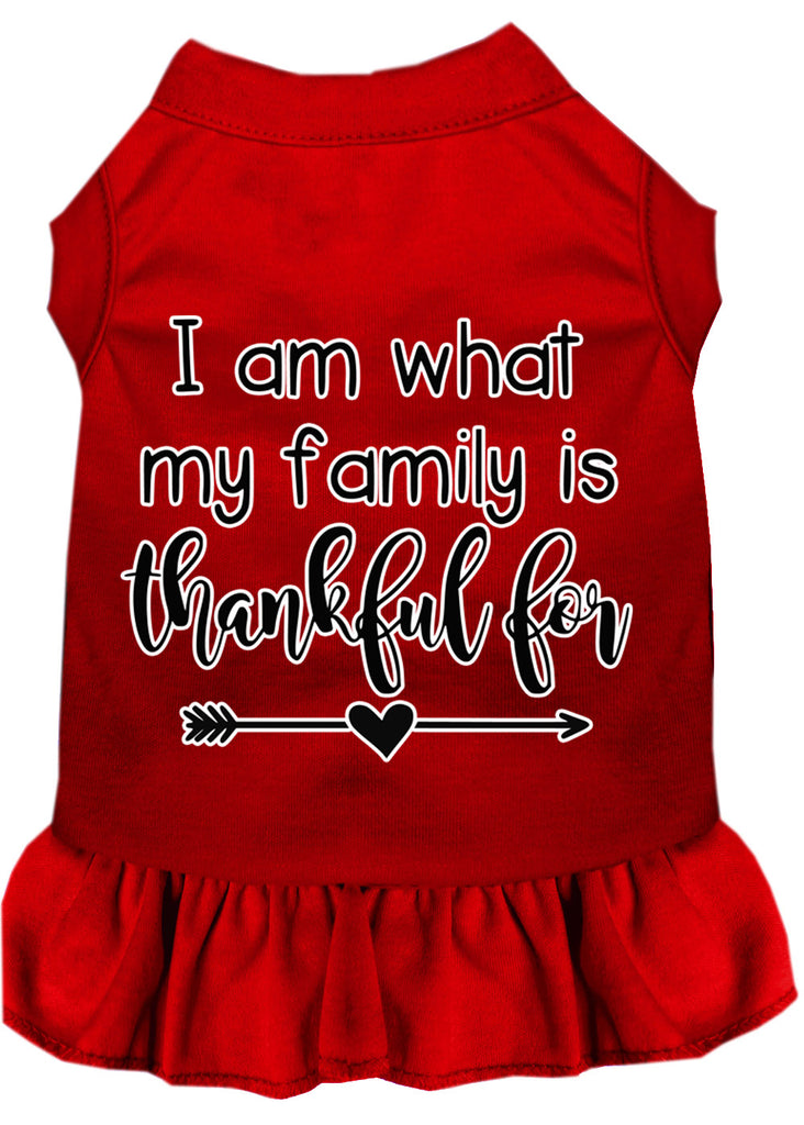 I Am What My Family Is Thankful For Screen Print Dog Dress Red 4x