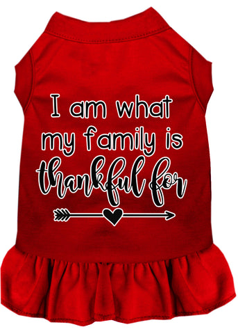 I Am What My Family Is Thankful For Screen Print Dog Dress Red Med