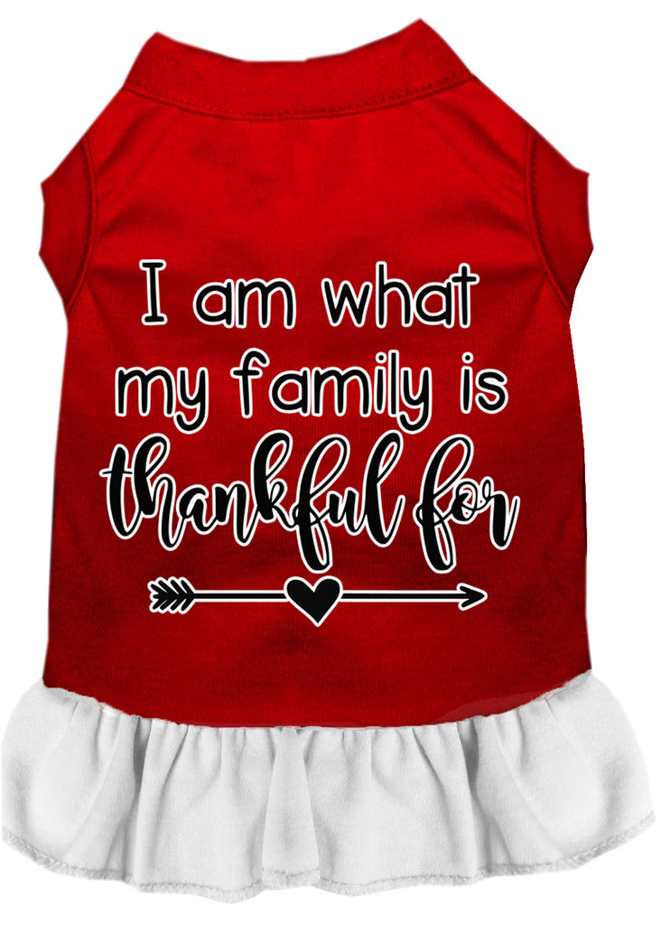 I Am What My Family Is Thankful For Screen Print Dog Dress Red With White Lg