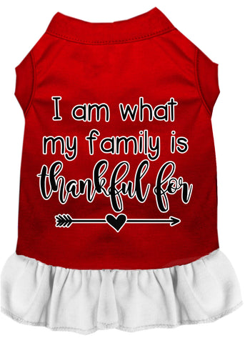 I Am What My Family Is Thankful For Screen Print Dog Dress Red With White Med