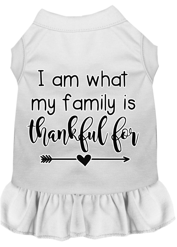 I Am What My Family Is Thankful For Screen Print Dog Dress White 4x