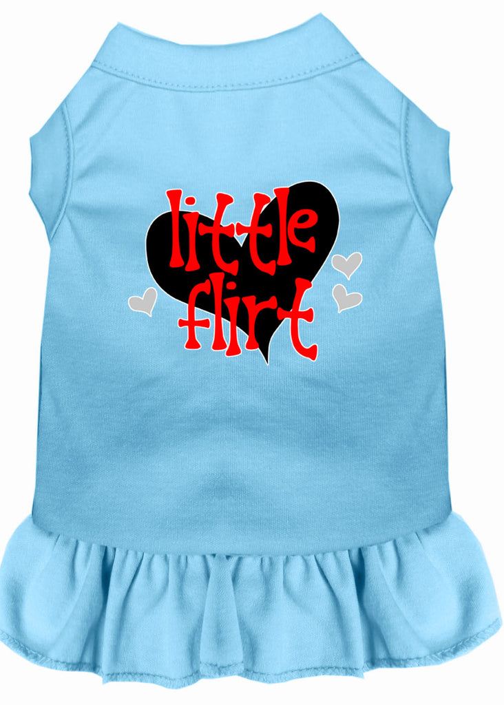 Little Flirt Screen Print Dog Dress Baby Blue 4x