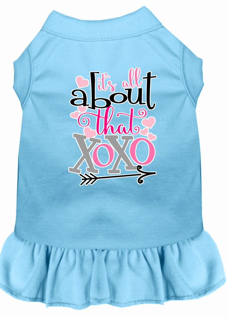 All About The Xoxo Screen Print Dog Dress Baby Blue Lg