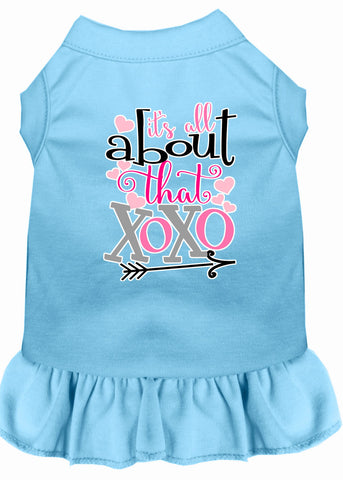 All About The Xoxo Screen Print Dog Dress Baby Blue Sm