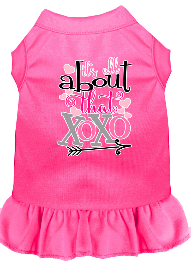 All About The Xoxo Screen Print Dog Dress Bright Pink 4x