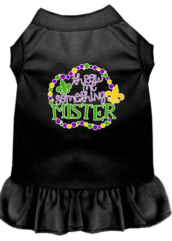 Throw Me Something Screen Print Mardi Gras Dog Dress Black 4x