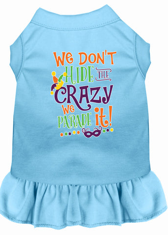 We Don't Hide The Crazy Screen Print Mardi Gras Dog Dress Baby Blue Lg