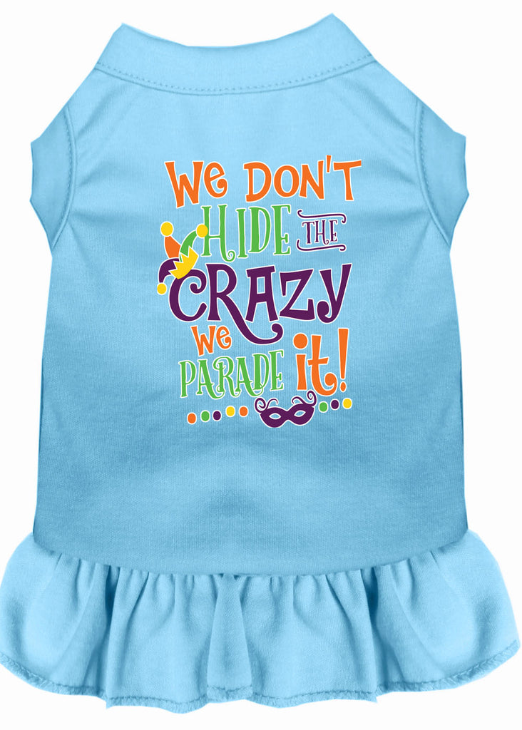 We Don't Hide The Crazy Screen Print Mardi Gras Dog Dress Baby Blue Med