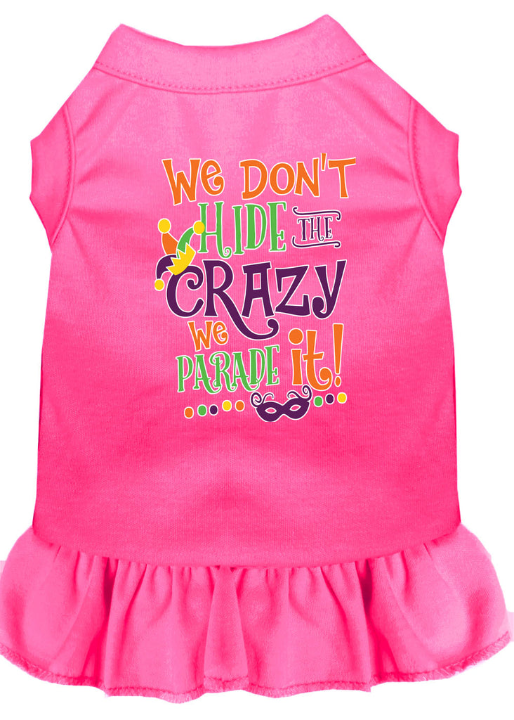 We Don't Hide The Crazy Screen Print Mardi Gras Dog Dress Bright Pink 4x