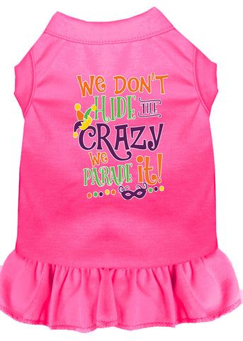 We Don't Hide The Crazy Screen Print Mardi Gras Dog Dress Bright Pink Med