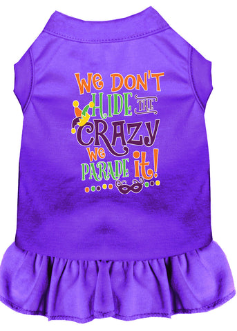 We Don't Hide The Crazy Screen Print Mardi Gras Dog Dress Purple Med