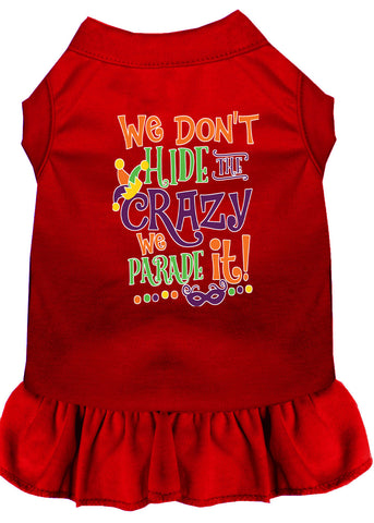 We Don't Hide The Crazy Screen Print Mardi Gras Dog Dress Red Xl