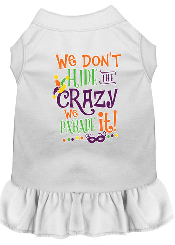 We Don't Hide The Crazy Screen Print Mardi Gras Dog Dress White Xs