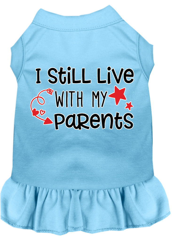 Still Live With My Parents Screen Print Dog Dress Baby Blue Lg (14)