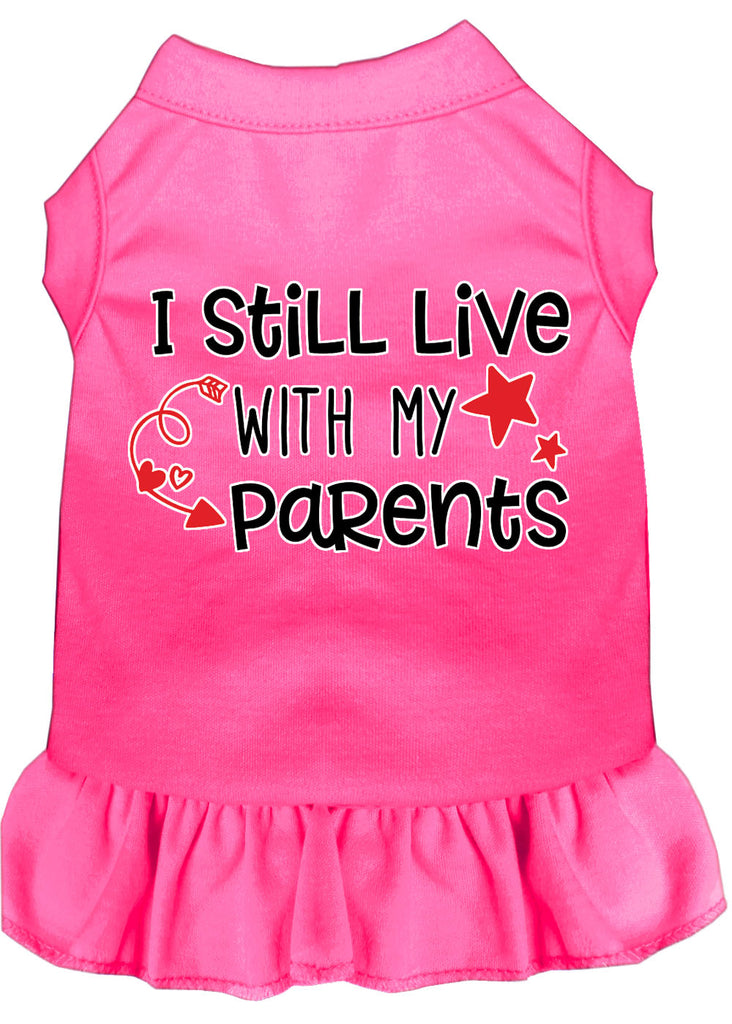 Still Live With My Parents Screen Print Dog Dress Bright Pink Lg (14)