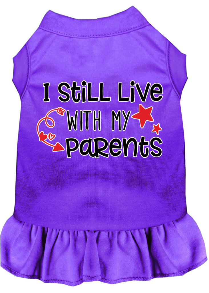 Still Live With My Parents Screen Print Dog Dress Purple 4x (22)