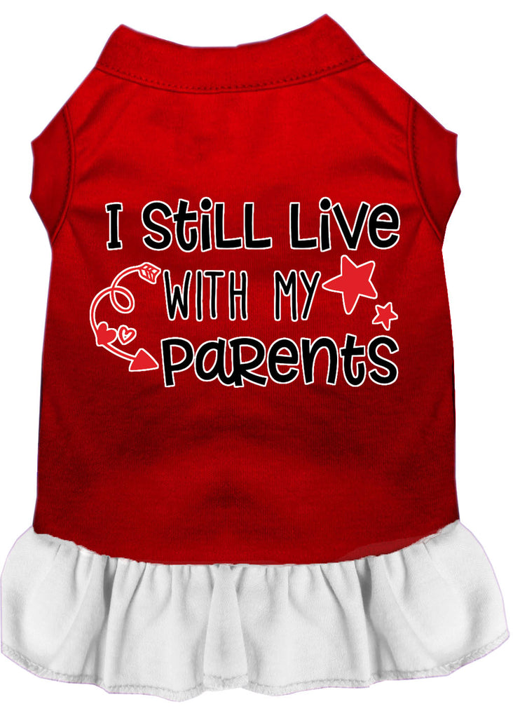 Still Live With My Parents Screen Print Dog Dress Red With White Med (12)