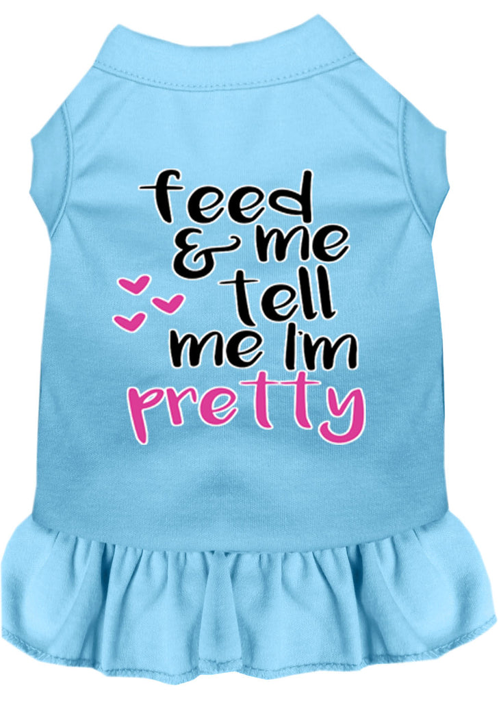 Tell Me I'm Pretty Screen Print Dog Dress Baby Blue 4x (22)