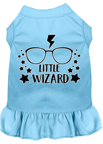 Little Wizard Screen Print Dog Dress Baby Blue 4x (22)