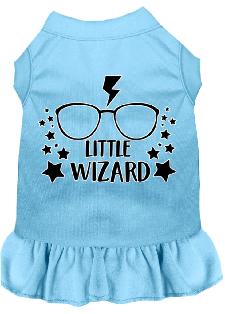 Little Wizard Screen Print Dog Dress Baby Blue Sm (10)