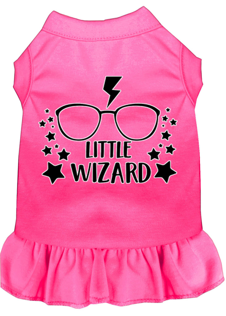 Little Wizard Screen Print Dog Dress Bright Pink 4x (22)